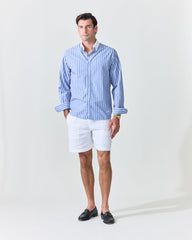 Royal Blue Stripe Contrast Collar Shirt (SS26)
